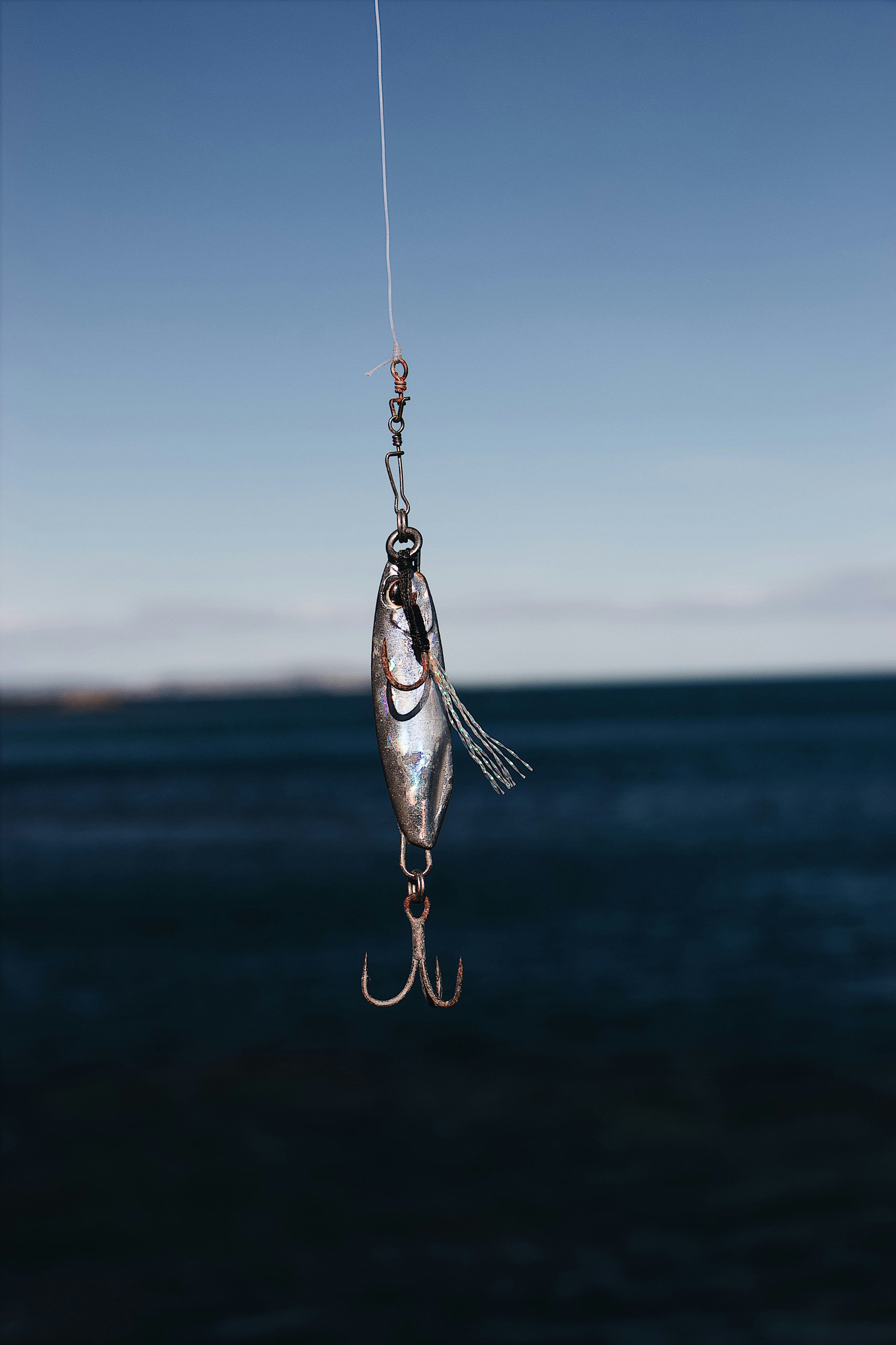 gray fish lure